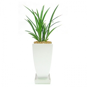 �󼼳��뺸��