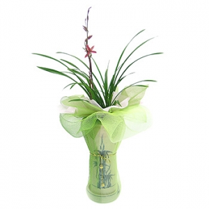 �󼼳��뺸��