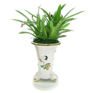 �󼼳��뺸��