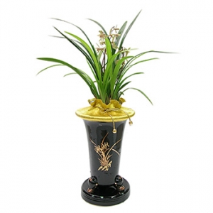 �󼼳��뺸��