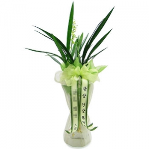 �󼼳��뺸��