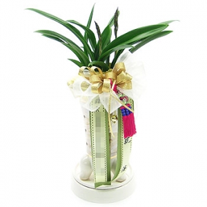 �󼼳��뺸��