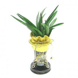 �󼼳��뺸��