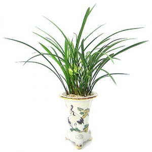 �󼼳��뺸��