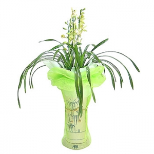 �󼼳��뺸��