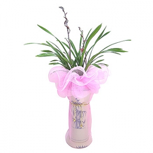 �󼼳��뺸��