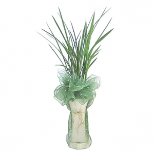 �󼼳��뺸��