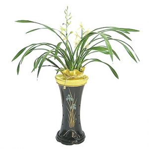 �󼼳��뺸��