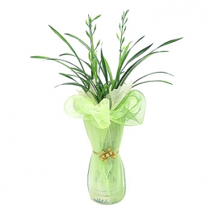 �󼼳��뺸��