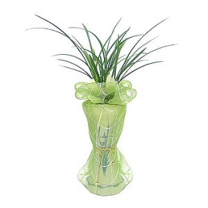 �󼼳��뺸��