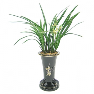 �󼼳��뺸��