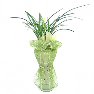 �󼼳��뺸��