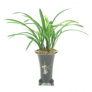 �󼼳��뺸��