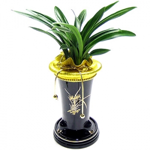 �󼼳��뺸��