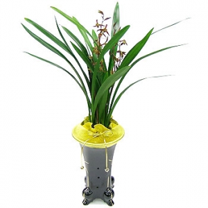 �󼼳��뺸��