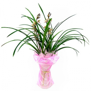 �󼼳��뺸��