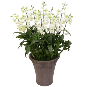 �󼼳��뺸��