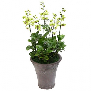 �󼼳��뺸��