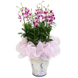 �󼼳��뺸��