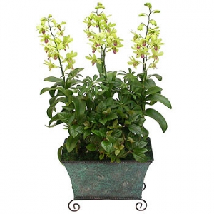 �󼼳��뺸��