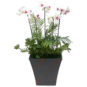 �󼼳��뺸��