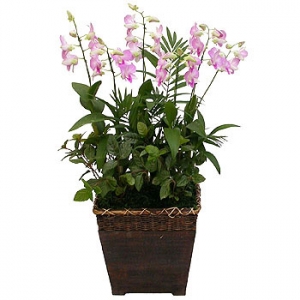 �󼼳��뺸��