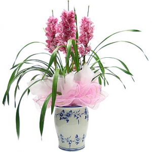 �󼼳��뺸��