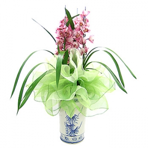 �󼼳��뺸��