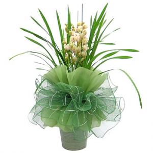 �󼼳��뺸��