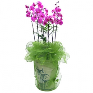 �󼼳��뺸��