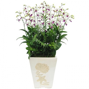 �󼼳��뺸��