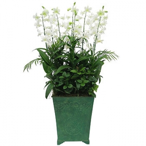 �󼼳��뺸��