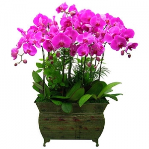 �󼼳��뺸��