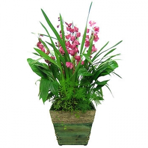 �󼼳��뺸��