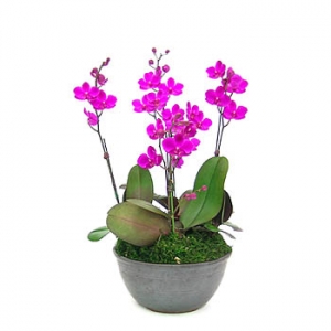 �󼼳��뺸��