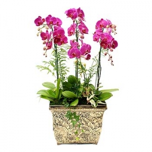 �󼼳��뺸��