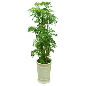 �󼼳��뺸��