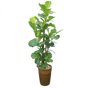 �󼼳��뺸��