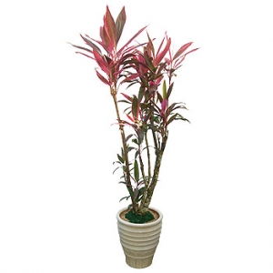 �󼼳��뺸��