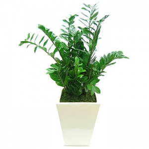 �󼼳��뺸��