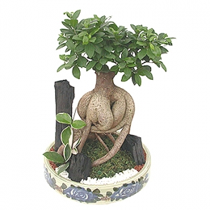 �󼼳��뺸��