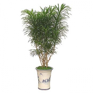 �󼼳��뺸��