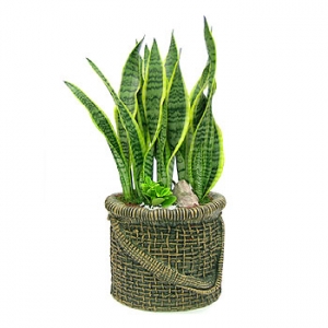 �󼼳��뺸��