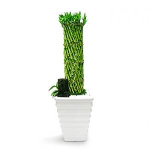 �󼼳��뺸��