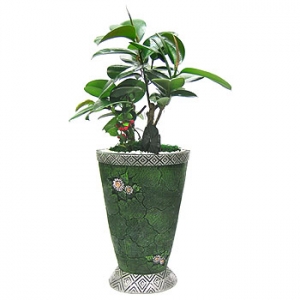 �󼼳��뺸��