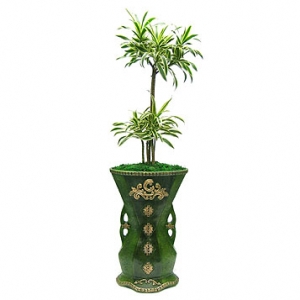 �󼼳��뺸��