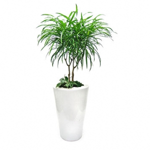 �󼼳��뺸��