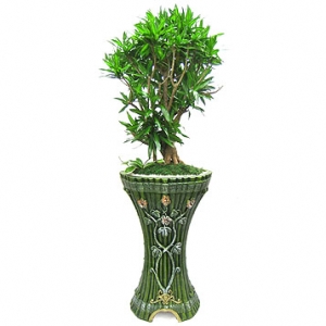 �󼼳��뺸��