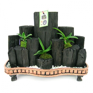 �󼼳��뺸��