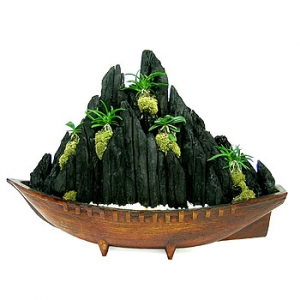 �󼼳��뺸��